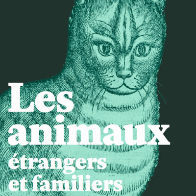 Exposition d'hiver 2021/2022