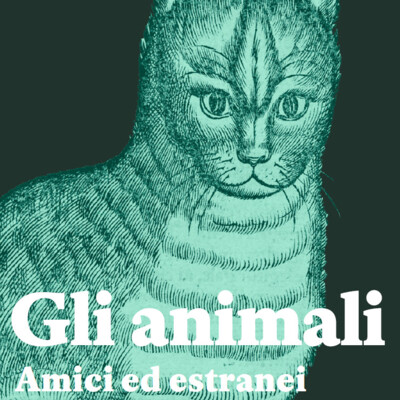 Esposizione invernale 2021/2022